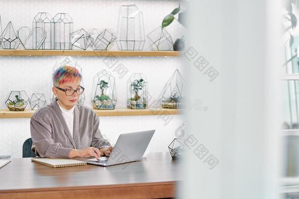 严肃的成熟的商业女士打字向便携式电脑