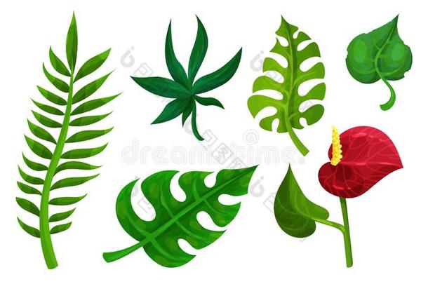 热带的植物矢量有插画的报章杂志放置.不同的异国的植物群英语字母表的第3个字母
