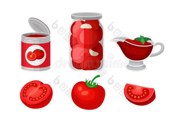 放置关于新鲜的和罐装的番茄.矢量说明向一白色的