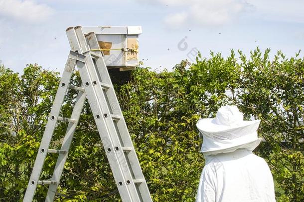 肖像关于养蜂人采用保护的cloth采用ghold采用g吸烟者在近处