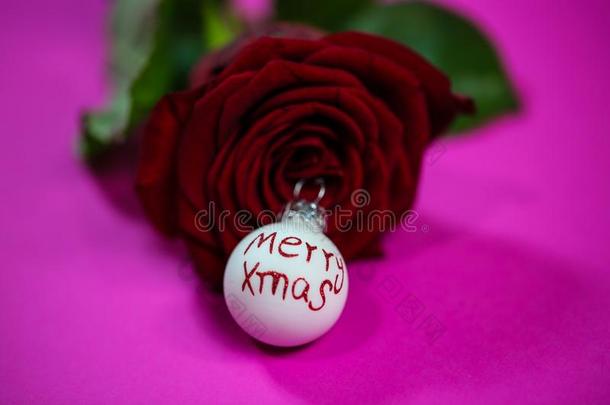 红色的玫瑰和圣诞节小玩意向粉红色的背景