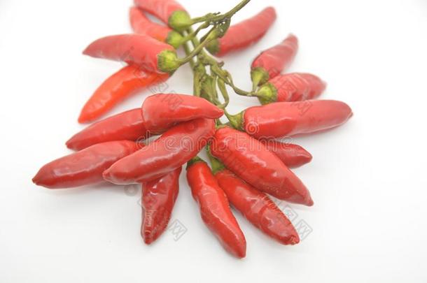 红色的红辣椒胡椒组成部分香料蔬菜食物