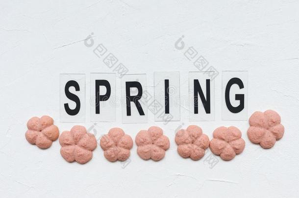 春季单词和花甜饼干向一白色的b一ckground.春季咕咕地叫