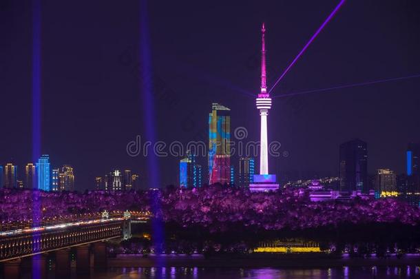 武汉桂山television电视机塔夜和光给看风景