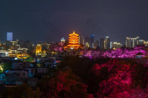 武汉扬子江河和城市夜和光给看风景