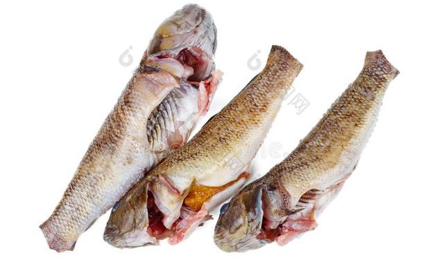 num.三新鲜的准备好的-向-烹调圆形的虾虎鱼鱼隔离的向白色的波黑