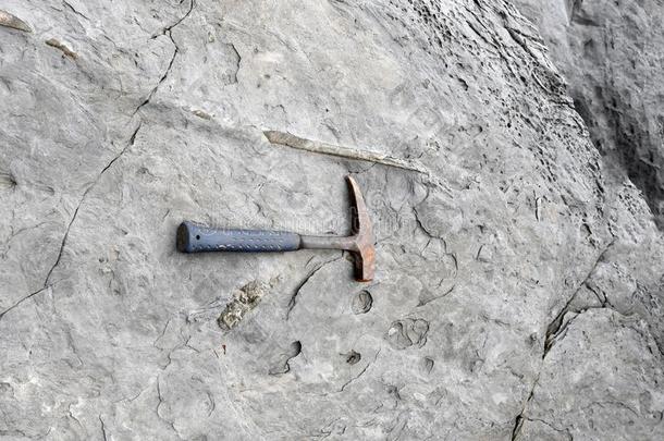 考古学家是使用工具和设备向勘查化石