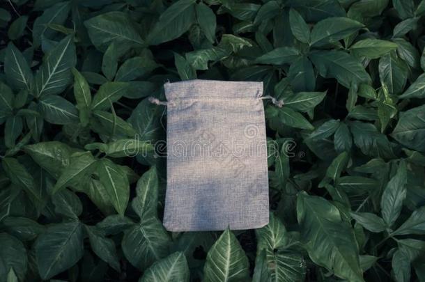 空白的白色的假雷达亚麻布棉手提袋向绿色的灌木树follow跟随