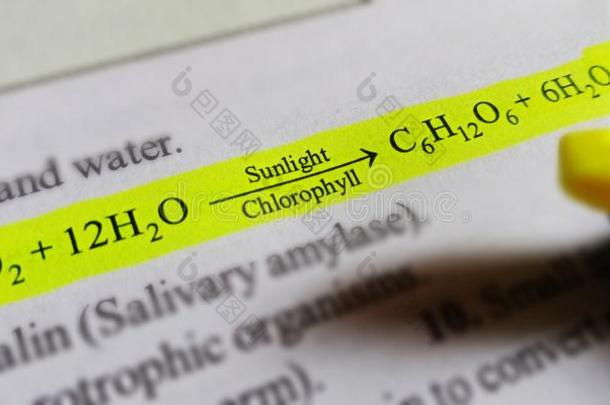 生物学的方程式显示向白色的纸纸和高丽