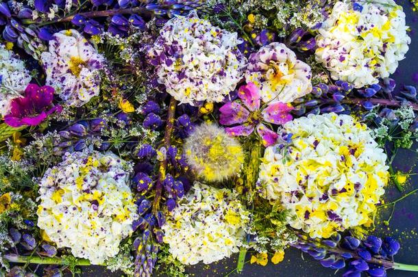 开花混合的花和紫罗兰和黄色的粉