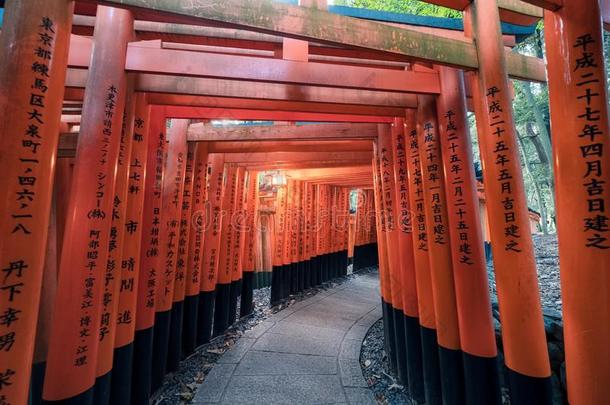 红色的古代的木材牌坊门和日本人信在福希米在
