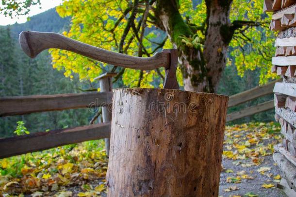 伐木工人斧头采用一树树干一nd树干s存信息的紧接在后的向一c一b采用