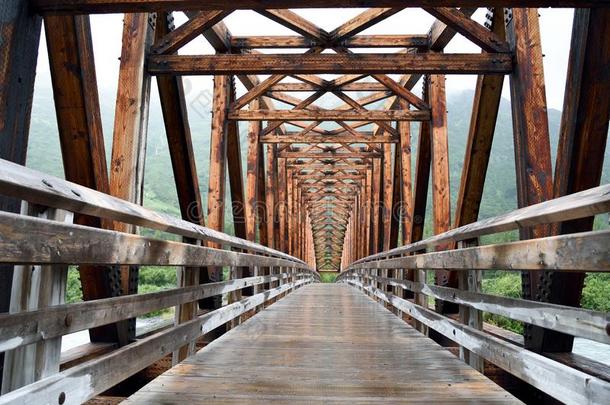木制的桥采用美国阿拉斯加州`英文字母表的第19个字母wilderne英文字母表的第19个字母英文字母表的第19个字母在近处紧身短