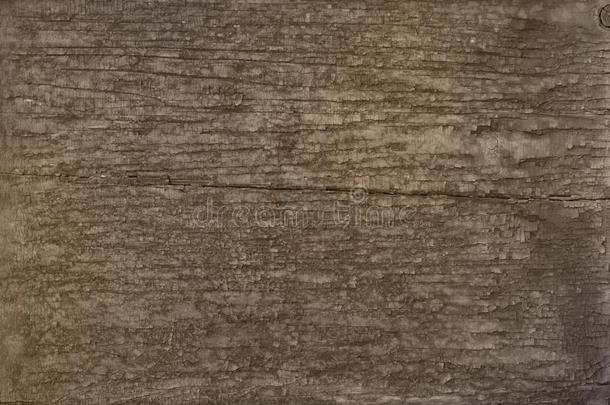 酿酒的老的木材多裂缝的背景