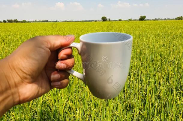 左边的手佃户租种的土地指已提到的人白色的杯子采用指已提到的人美丽的稻田背