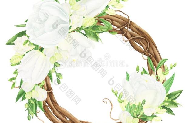花的花环和白色的春季花:郁金香和小苍兰属植物,warmair热空气