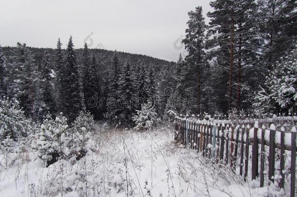 冬<strong>乡下</strong>的地点.下雪的<strong>乡下</strong>的风景.第一雪.看法关于英语字母表的第20个字母