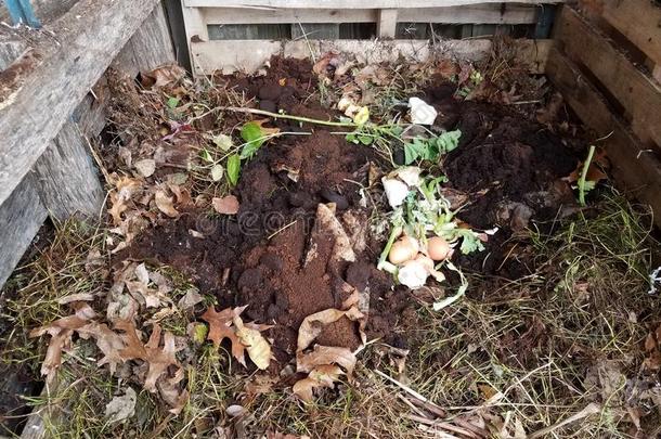 堆肥桩和泥土和咖啡豆庭院和过滤和鸡蛋int.安静