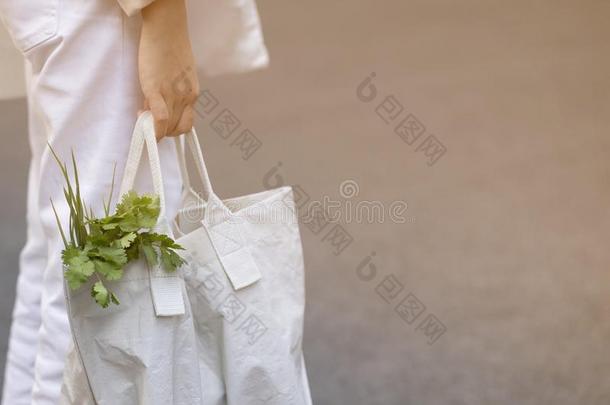 年幼的女人使用可循环再用的袋向商店为蔬菜采用指已提到的人France法国