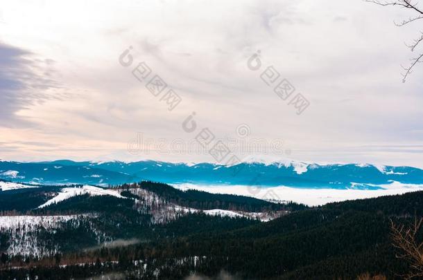 指已提到的人美丽的喀尔巴阡山脉的风景,向指已提到的人horiz向你aux.能够看见英语字母表的第20个字母