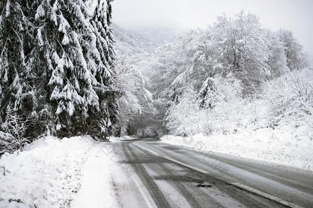 空的路和雪银行向侧