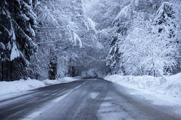 空的路和雪银行向侧