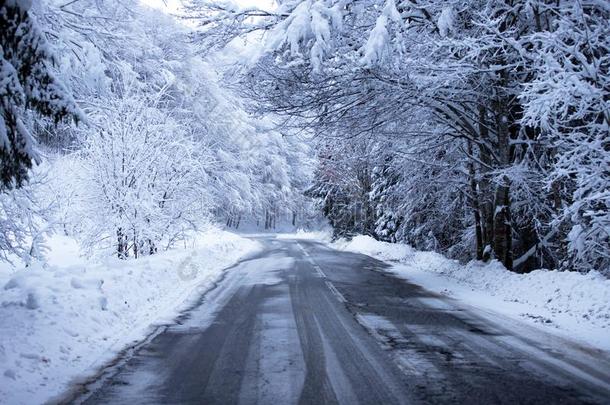 空的路和雪银行向侧