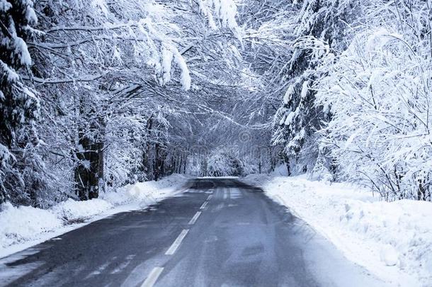 空的路和雪银行向侧