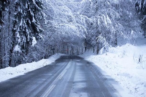 空的路和雪银行向侧