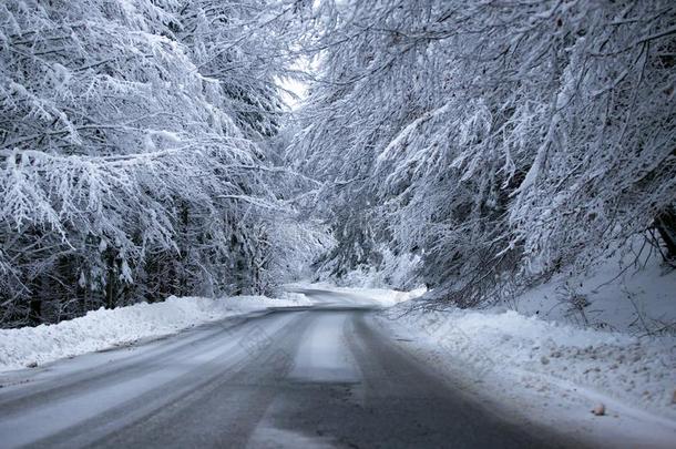 空的路和雪银行向侧