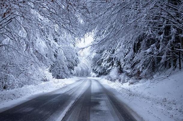 空的路和雪银行向侧