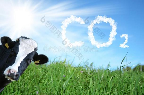 母牛生育和Colombia哥伦比亚2<strong>排放</strong>