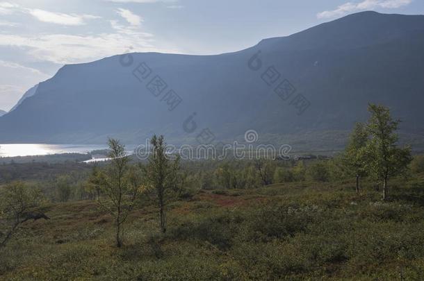 美丽的野生的拉普兰自然风景和STF糊状亩