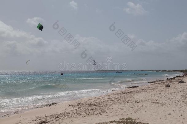 风筝冲浪加勒比海海博内尔岛岛水运动