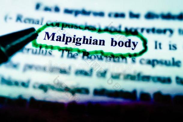 马尔皮吉身体生物学的条件展览在绿色的文本书单词
