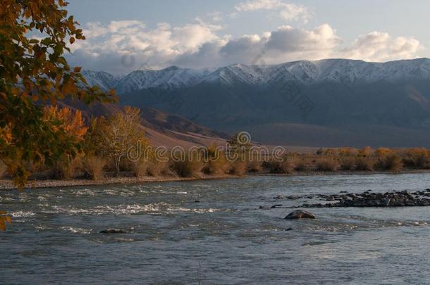 风景关于蒙古,科布多河