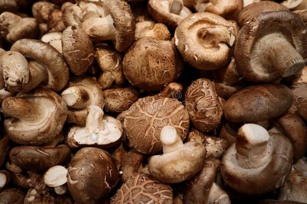 新鲜的中国人蘑菇采用农场交易