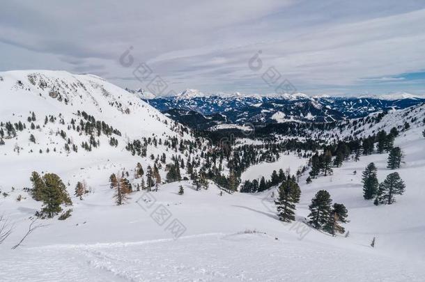 令人兴奋的射手关于指已提到的人下雪的山采用低贱的陶恩,奥地利