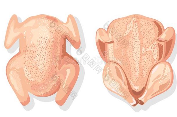 全部的生的鸡,火鸡,鹅或鸭子f或烹饪术节日的disconnect分离