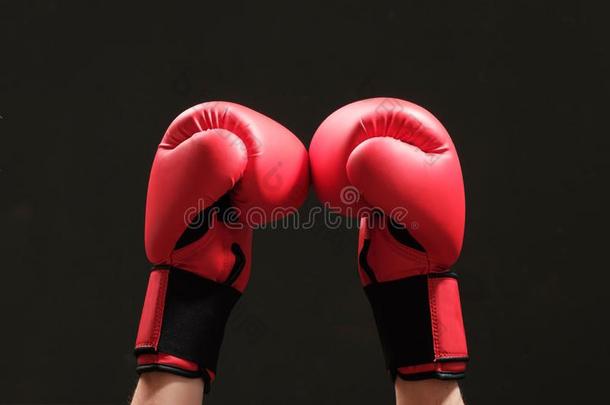 专业的<strong>拳击</strong>手采用<strong>红色</strong>的box采用g<strong>拳击</strong>手套.运动观念