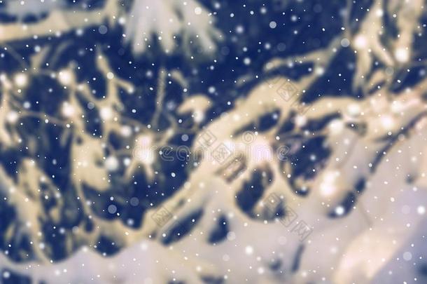模糊的冬圣诞节背景,雪大量的冷杉树枝winter冬天
