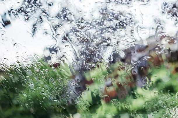 下雨的天,雨落下向窗,下雨的天气.雨砍倒向指已提到的人