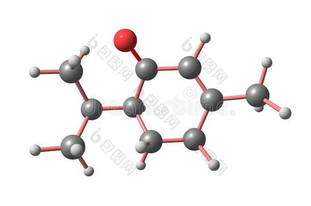 Piperit向e分子的结构隔离的向白色的