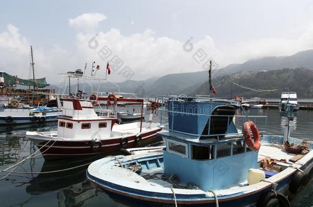 巴丁阿马斯拉海岸在近处捕鱼小船海港树,海和天