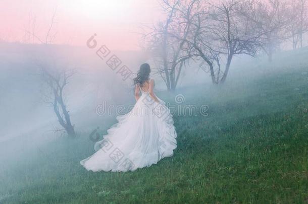 女王跑步通过指已提到的人小山采用指已提到的人雾日落黎明.长袍机智