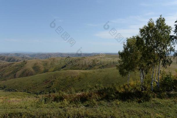 山麓丘陵地带关于指已提到的人阿尔泰语山.西方的西伯利亚.俄罗斯帝国