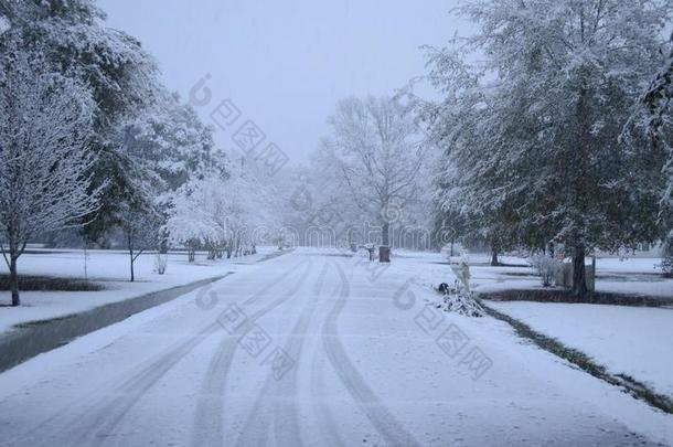 冬采用南方的路易斯安那:很少地-看见雪-大量的<strong>邻居</strong>