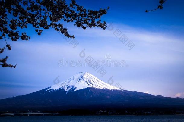 紫藤山和河口湖湖