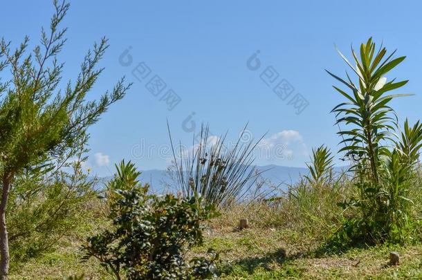 和煦的：照到阳光的一天,风景采用诗人海滩采用Sard采用ia