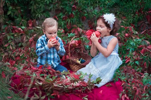 孩子们,男孩和女孩,友善地吃甜的成熟的苹果.野餐郊游英语字母表的第2个字母